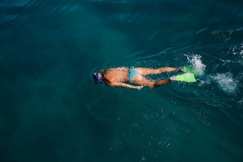 Key West: 3-Hour Afternoon Reef Snorkel with Drinks - Analyzing the Experience: What You Can Expect