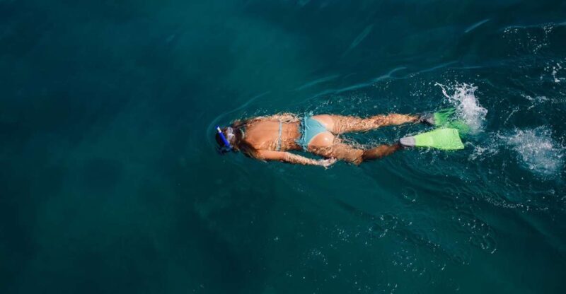 Key West: 3-Hour Afternoon Reef Snorkel with Drinks - Authentic Insights from Travelers