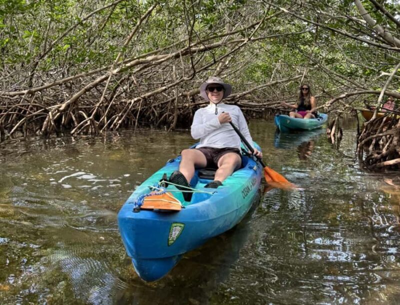 Key West: 3-hour Mangrove Kayak Tour - Key Points