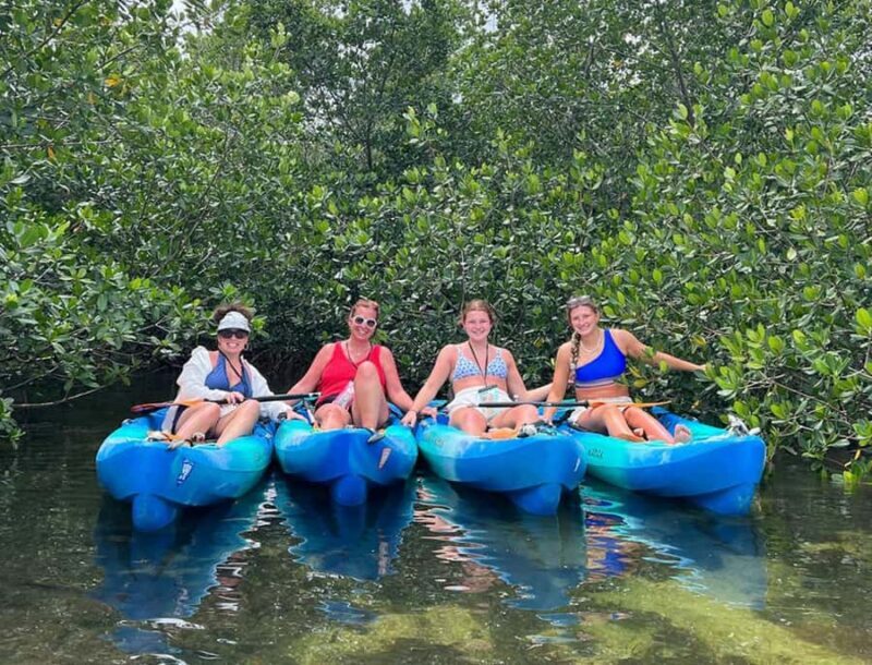 Key West: 3-hour Mangrove Kayak Tour - Exploring the Key West Mangrove Kayak Tour in Detail