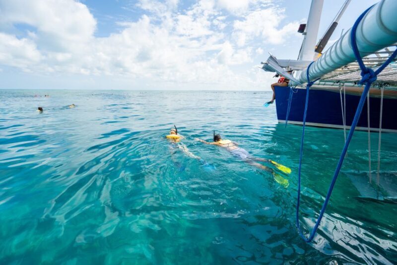 Key West: Afternoon Reef Snorkel Tour with Open Bar - From Dock to Reef: The Journey Begins