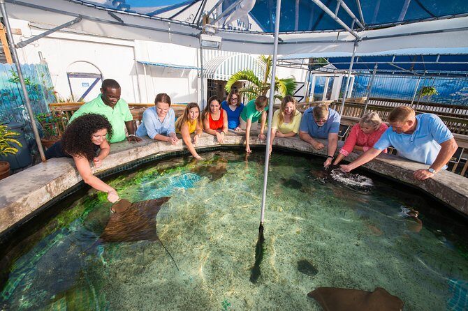 Key West Aquarium Admission - Who Should Visit the Key West Aquarium?