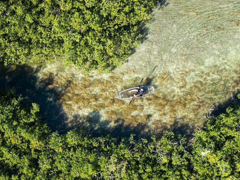 Key West Area: Guided Clear Kayak Eco-Tour - Key Points