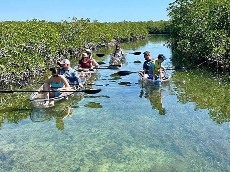 Key West Area: Guided Clear Kayak Eco-Tour - An In-Depth Look at the Guided Clear Kayak Eco-Tour