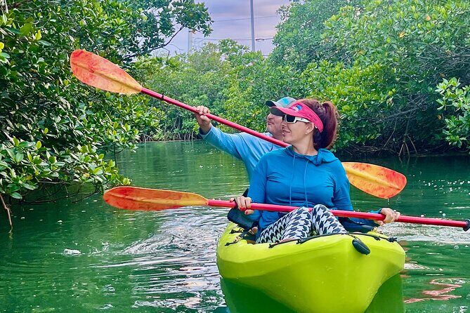 Key West Clear Kayak Eco Tour - An In-Depth Look at the Key West Clear Kayak Eco Tour