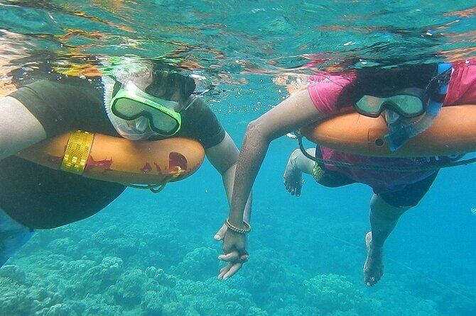 Key West Combo: Hop On Hop Off Afternoon Snorkeling - Quick Overview of the Key West Combo: Hop On Hop Off Afternoon Snorkeling