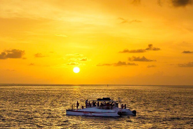 Key West Dolphin and Snorkel Experience - Experience the Best of Key West with the Dolphin and Snorkel Tour