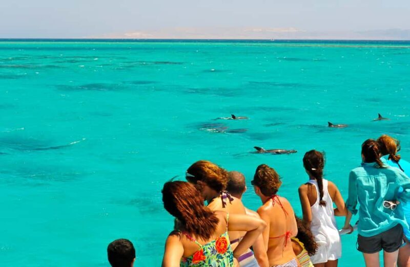 Key West: Dolphin & Reef Snorkel Trip with Sunset Option - The Itinerary: What You Can Expect
