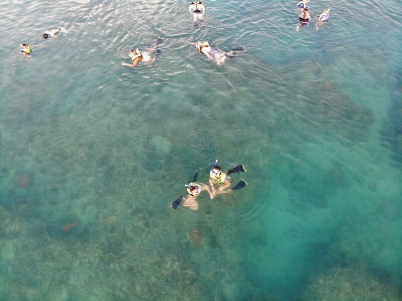 Key West: Dolphin & Reef Snorkel Trip with Sunset Option - The Value of a Dolphin Encounter