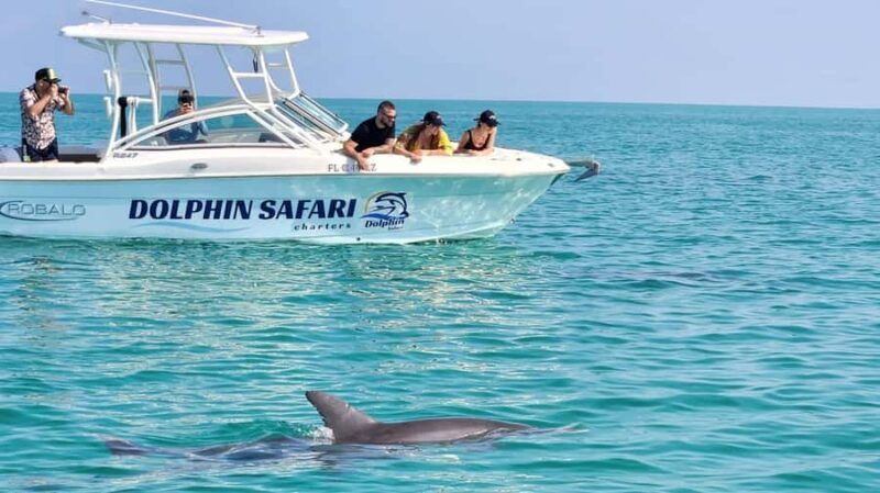 Key West Dolphin & Snorkel Tour - Small Group - A detailed look at the Key West Dolphin & Snorkel Tour