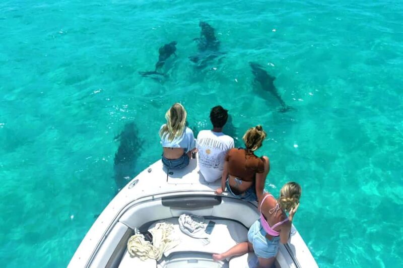 Key West Dolphin & Snorkel Tour - Small Group - Final Thoughts: Is This Tour Worth Considering?