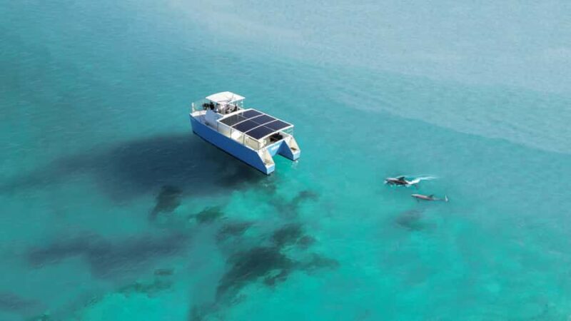 Key West: Dolphin Watch + Guided Snorkel with Honest Eco - Key Points