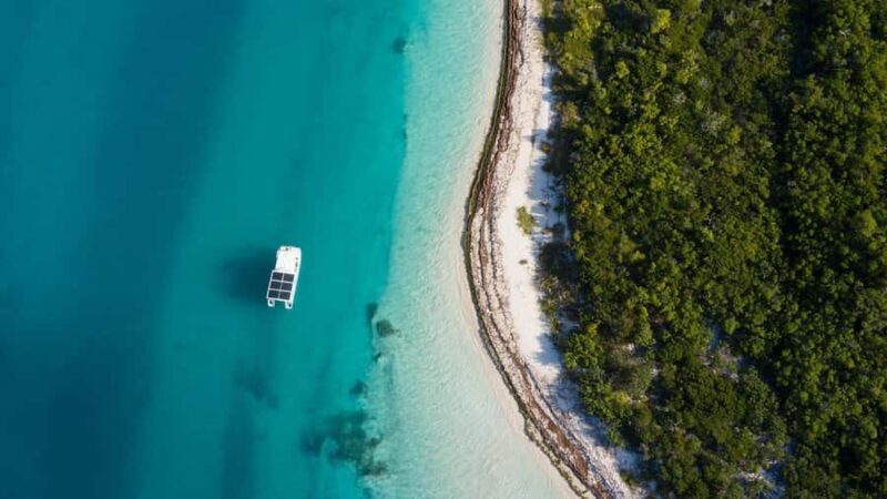 Key West: Dolphin Watch + Guided Snorkel with Honest Eco - What Makes This Tour Stand Out?