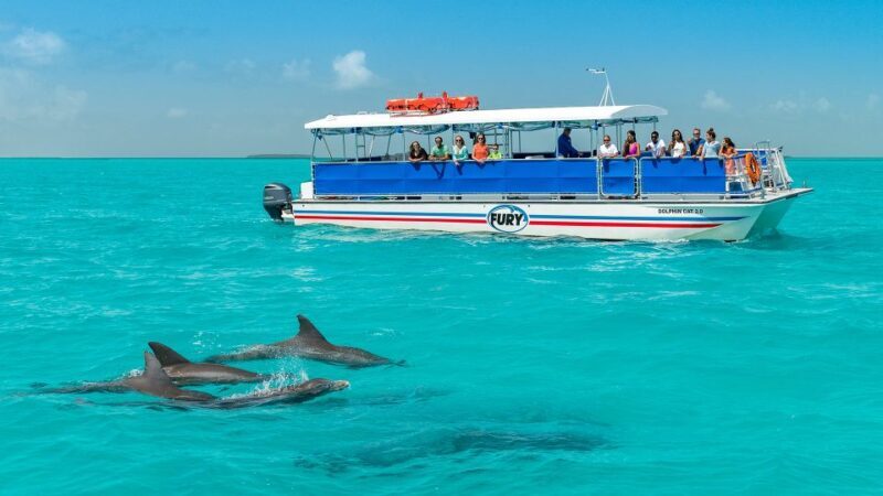 Key West: Dolphin Watching and Snorkeling Eco Cruise Tour - Key West: Dolphin Watching and Snorkeling Eco Cruise Tour