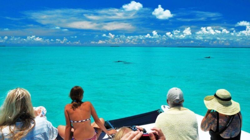Key West: Dolphin Watching and Snorkeling Eco Cruise Tour - Who Would Enjoy This Tour?