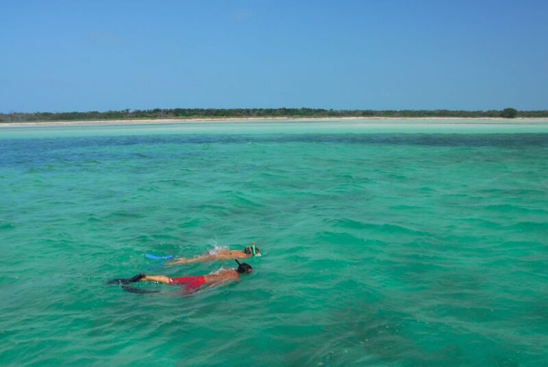 Key West: Dolphin Watching and Snorkeling Eco Cruise Tour - Frequently Asked Questions