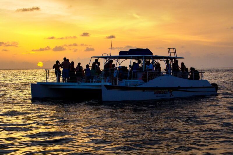 Key West: Dolphin Watching and Snorkeling Sunset Cruise - An In-Depth Look at the Dolphin Watching and Snorkeling Sunset Cruise
