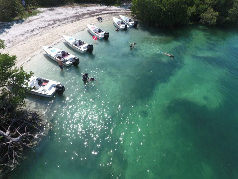 Key West: Eco Safari Sandbar Tour with Snorkeling - An In-Depth Look at the Eco Safari Sandbar Tour