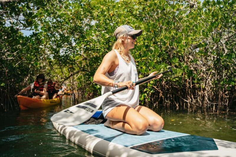 Key West: Hidden Sanctuary Kayak Tour with Sandbar Safari - Practical Details and What to Expect