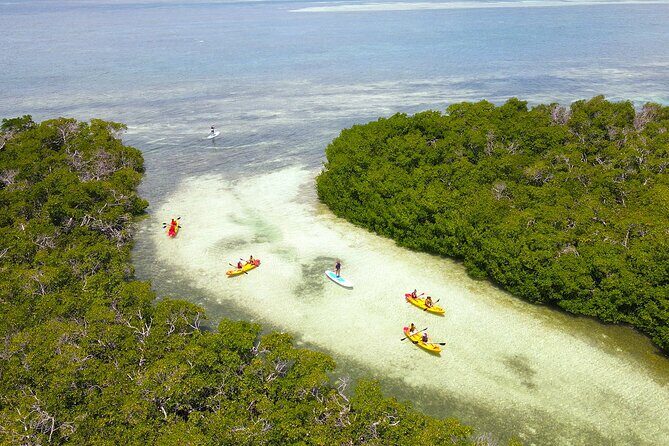 Key West Hidden Sanctuary Mangrove Kayak Tour With Drinks - Who will love this tour?