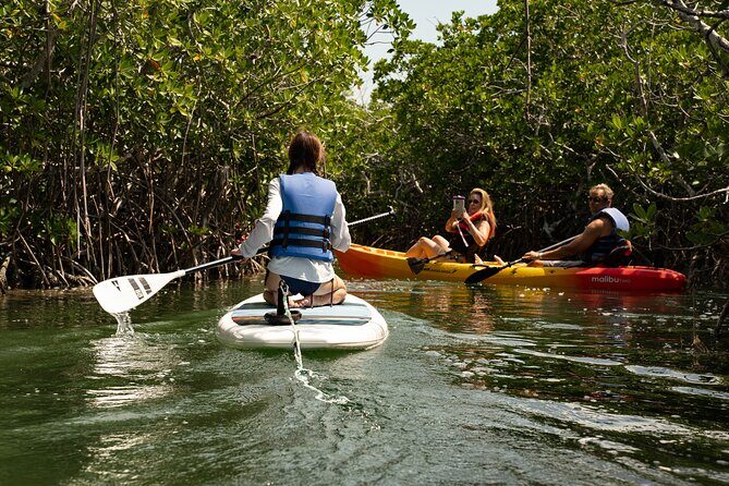 Key West Hidden Sanctuary Mangrove Kayak Tour With Drinks - Starting Point: The Historic Seaport in Key West