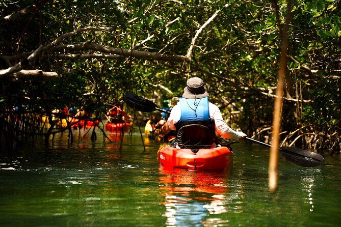 Key West Hidden Sanctuary Mangrove Kayak Tour With Drinks - The Guided Kayak Tour: Into the Mangrove Tunnels