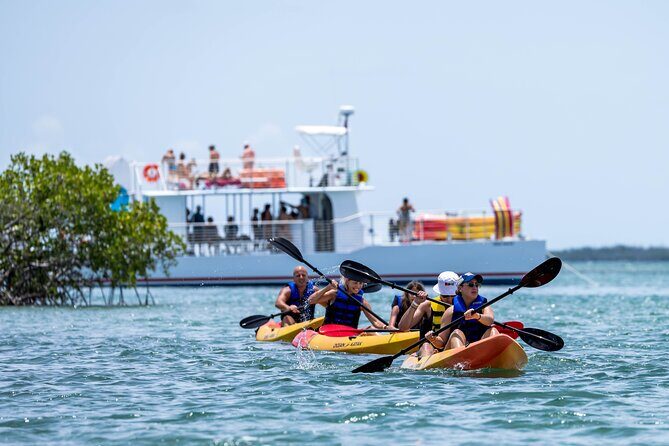Key West Hidden Sanctuary Mangrove Kayak Tour With Drinks - The Sandbar Relaxation: Jewfish Basin