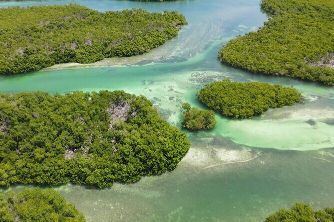 Key West Hidden Sanctuary Mangrove Kayak Tour With Drinks - Refreshments & Lunch: The Perfect Finish