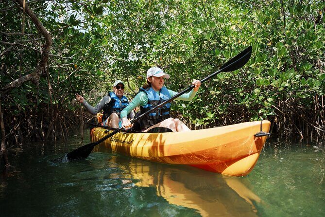 Key West Hidden Sanctuary Mangrove Kayak Tour With Drinks - Why This Tour Stands Out