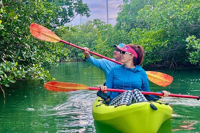 Key West Kayak Eco Tour | An Eco-Friendly Adventure Awaits! - A Detailed Look at the Eco-Kayak Experience in Key West