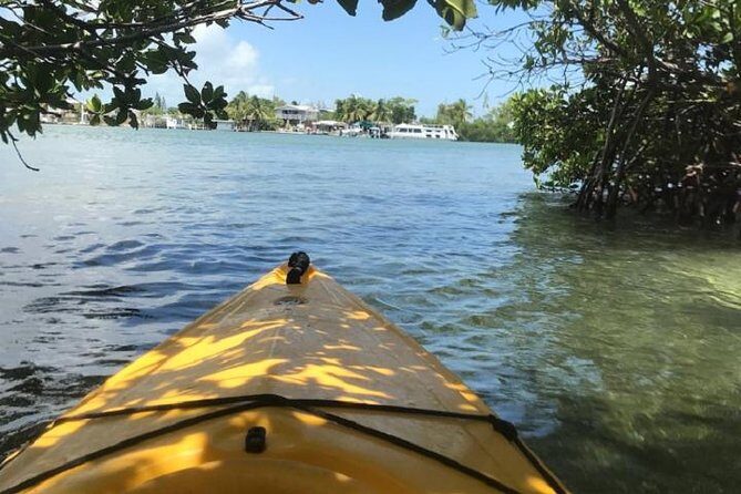 Key West Kayak Rental - Experience the Serenity of Key West Kayak Rental