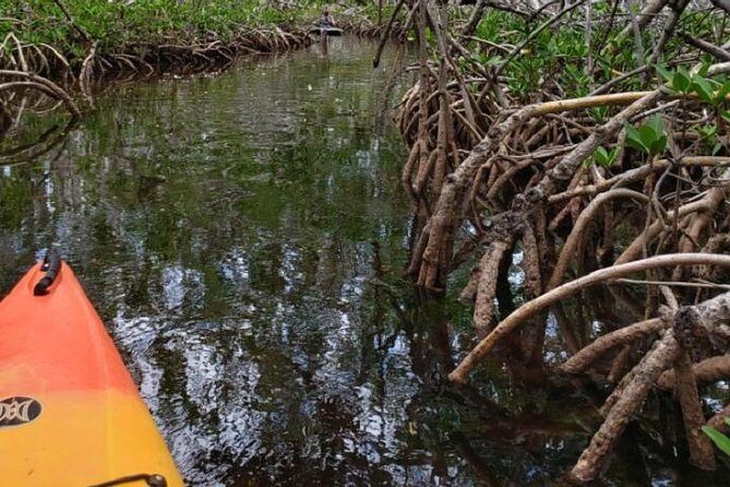 Key West Kayak Rental - Final Thoughts: Is It Worth It?