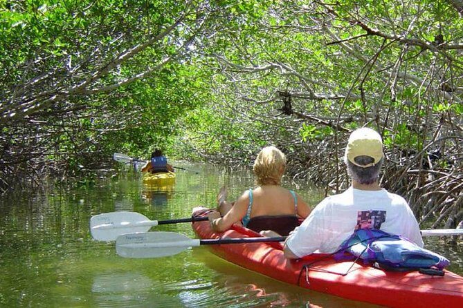 Key West Mangrove Kayak Eco Tour - Discover the Key West Mangrove Kayak Eco Tour