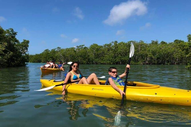 Key West Mangrove Kayak Eco Tour - A Deeper Dive into the Mangrove Kayak Eco Tour