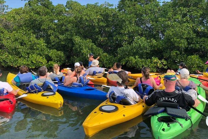 Key West Mangrove Kayak Eco Tour - FAQ