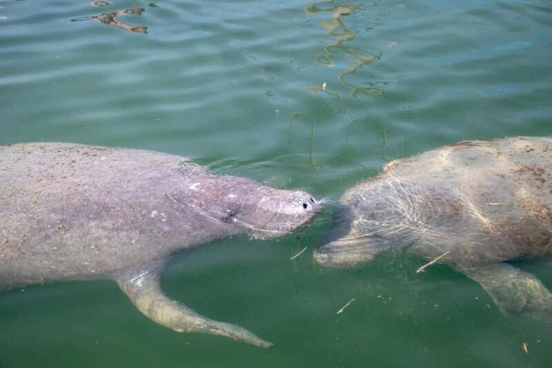 Key West: Private Boat Charter with Captain - A Deep Dive into the Key West Private Boat Charter Experience