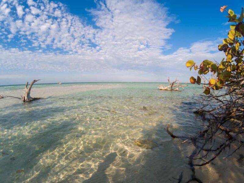 Key West: Private Boat Charter with Captain - What to Expect: Building Your Perfect Day on the Water