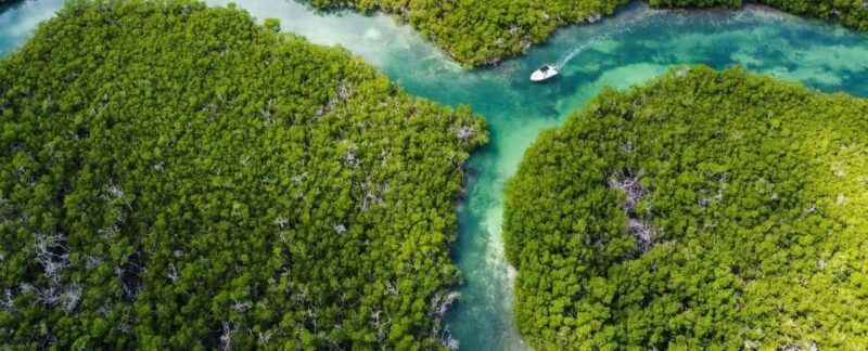 Key West: Private Boat Charter with Captain - Who Should Book This Tour?