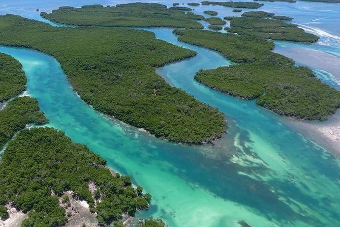 Key West Safari Eco Sandbar Tour Adventure with Snorkeling - Possible Drawbacks to Keep in Mind