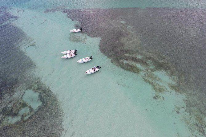 Key West Safari Eco Sandbar Tour Adventure with Snorkeling - Final Thoughts