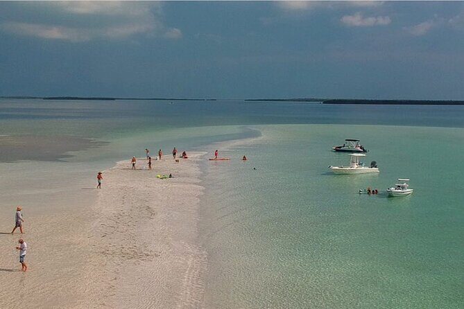 Key West Sandbar Charter - Who Is This Tour Best For?