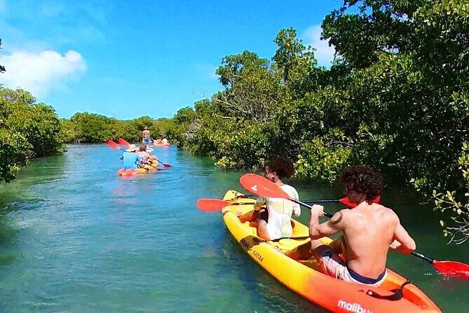 Key West Sandbar Charter With Kayak Tour: Includes Lunch & Drinks - Key Points