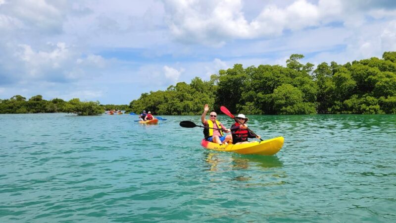 Key West: Sandbar Excursion & Kayak Tour with Lunch & Drinks - FAQs about the Key West Sandbar & Kayak Tour