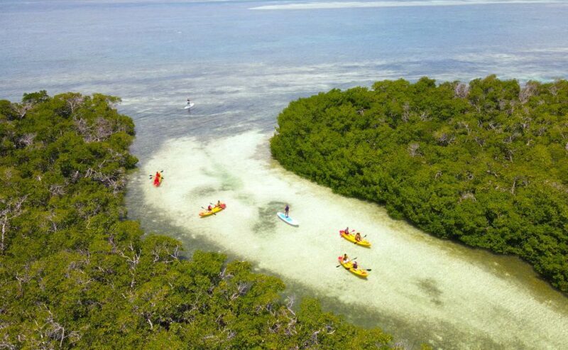 Key West: Sandbar Excursion & Kayak Tour with Lunch & Drinks - Final Thoughts