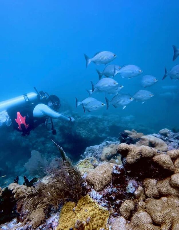 Key West: Scuba Diving Refresher Course - Breaking Down the Itinerary