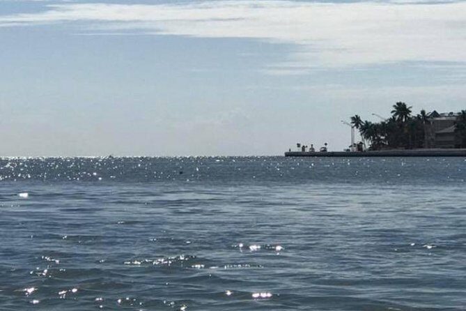 Key West Stand Up Paddleboard Rental - Experience the Calm: Key West Stand Up Paddleboard Rental