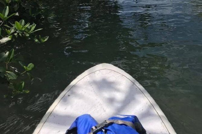 Key West Stand Up Paddleboard Rental - A Deep Dive into the Paddleboarding Experience in Key West