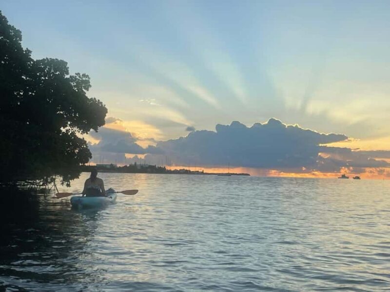 Key West: Sunrise Kayak Tour - Introduction: A Perfect Morning in Key West