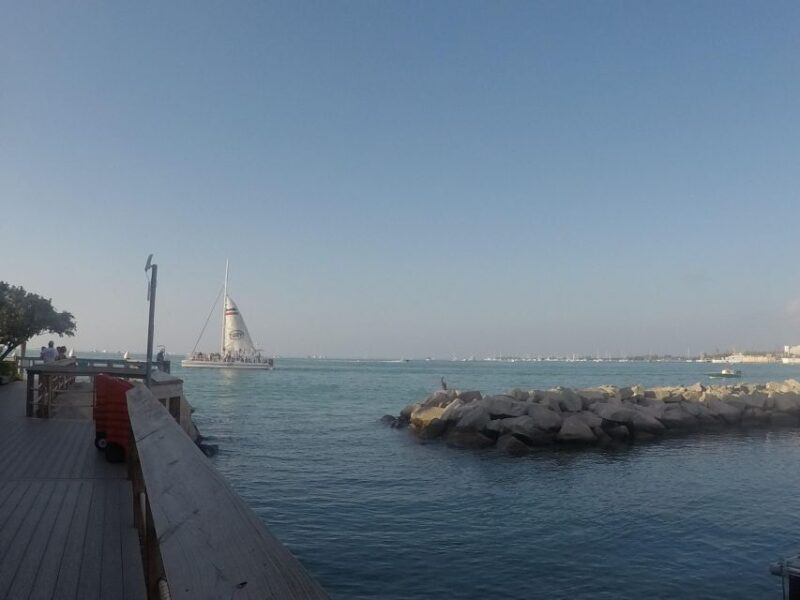 Key West Tour and Coral Reef Snorkeling with Open Bar - An In-Depth Look at the Florida Keys Tour and Snorkeling Experience