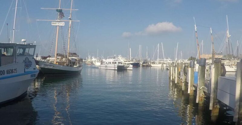 Key West Tour and Coral Reef Snorkeling with Open Bar - Final Thoughts: Is This Tour Worth It?